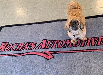 Rocha's Automotive Dog | Rocha's Automotive Inc.